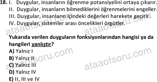 ata kamuyonetimi 1924 18