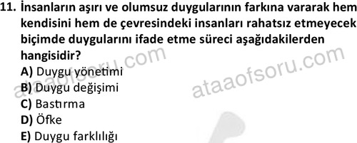 ata kamuyonetimi 1924 11