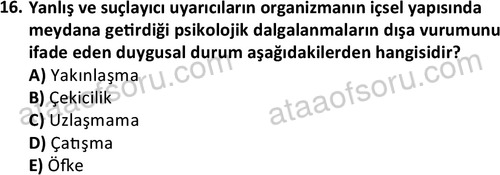 ata kamuyonetimi 1924 16