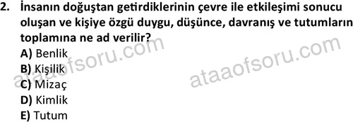 ata kamuyonetimi 1924 2
