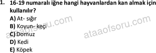 ata laborantvet 1951 1