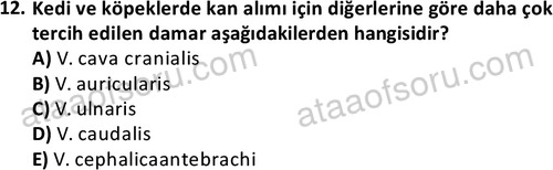 ata laborantvet 1951 12