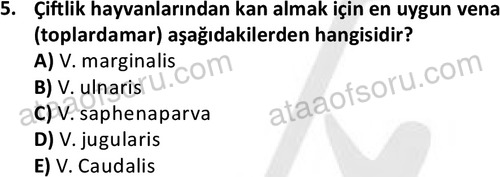 ata laborantvet 1951 5