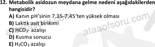 ata laborantvet 1951 12