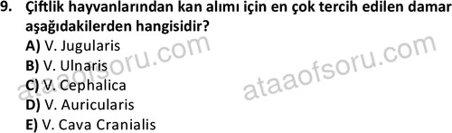 ata laborantvet 1951 9