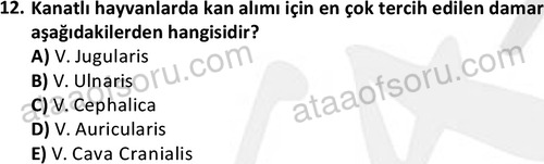 ata laborantvet 1951 12