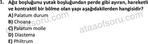 ata laborantvet 1948 1