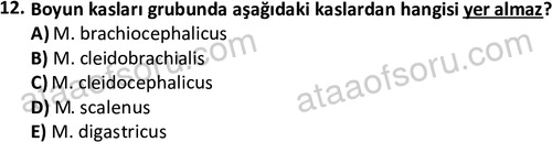 ata laborantvet 1948 12