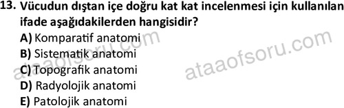 ata laborantvet 1948 13