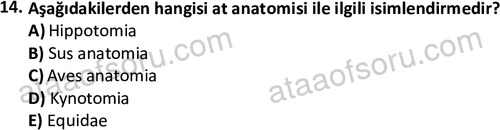 ata laborantvet 1948 14