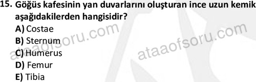 ata laborantvet 1948 15