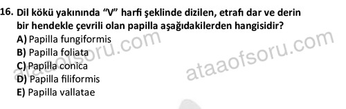 ata laborantvet 1948 16