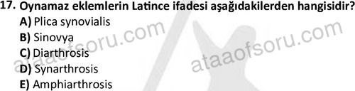 ata laborantvet 1948 17