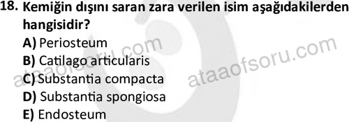 ata laborantvet 1948 18