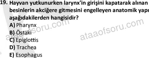 ata laborantvet 1948 19