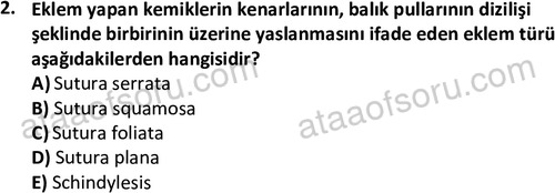 ata laborantvet 1948 2