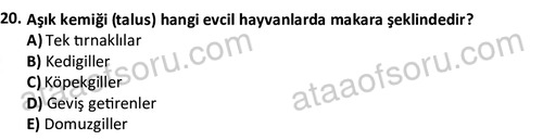ata laborantvet 1948 20