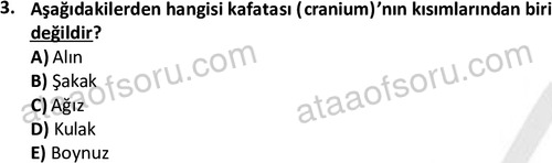 ata laborantvet 1948 3