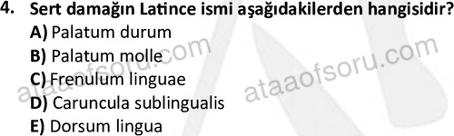 ata laborantvet 1948 4