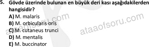 ata laborantvet 1948 5