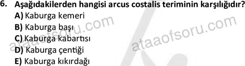 ata laborantvet 1948 6