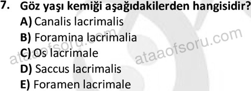 ata laborantvet 1948 7