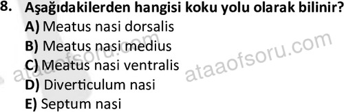 ata laborantvet 1948 8