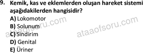 ata laborantvet 1948 9