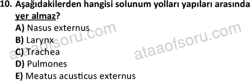 ata laborantvet 1948 10