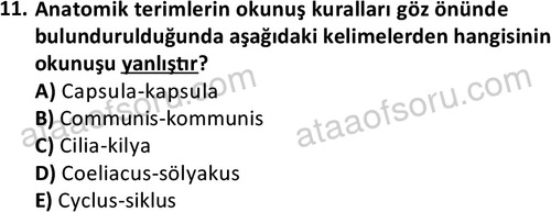 ata laborantvet 1948 11
