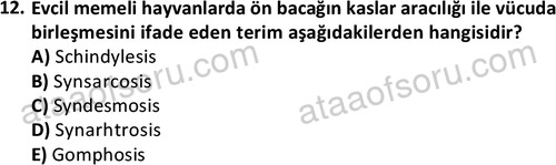 ata laborantvet 1948 12