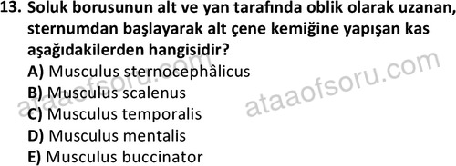 ata laborantvet 1948 13