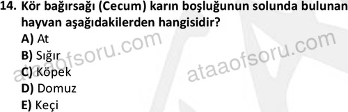 ata laborantvet 1948 14