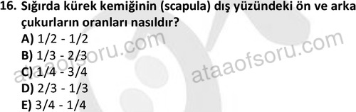 ata laborantvet 1948 16