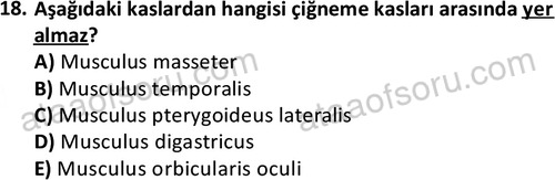 ata laborantvet 1948 18