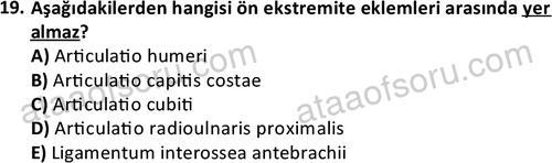 ata laborantvet 1948 19