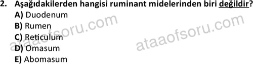ata laborantvet 1948 2