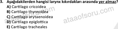 ata laborantvet 1948 3
