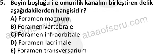 ata laborantvet 1948 5
