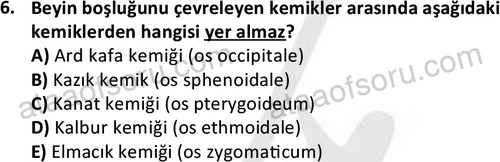 ata laborantvet 1948 6