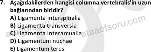 ata laborantvet 1948 7