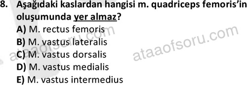 ata laborantvet 1948 8