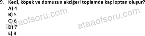 ata laborantvet 1948 9