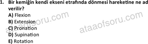 ata laborantvet 1948 1