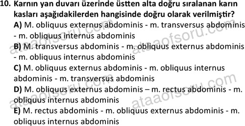 ata laborantvet 1948 10