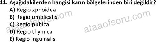 ata laborantvet 1948 11