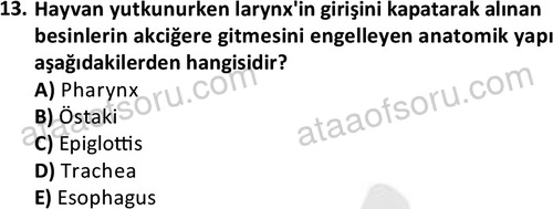ata laborantvet 1948 13