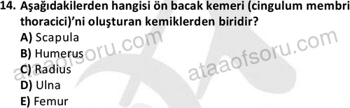 ata laborantvet 1948 14