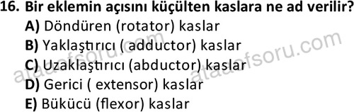 ata laborantvet 1948 16