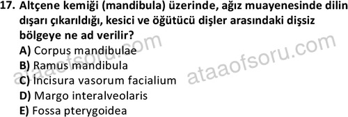 ata laborantvet 1948 17